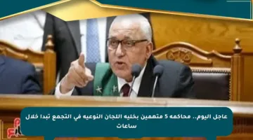 عاجل اليوم.. محاكمة 5 متهمين بخلية اللجان النوعية في التجمع تبدأ خلال ساعات